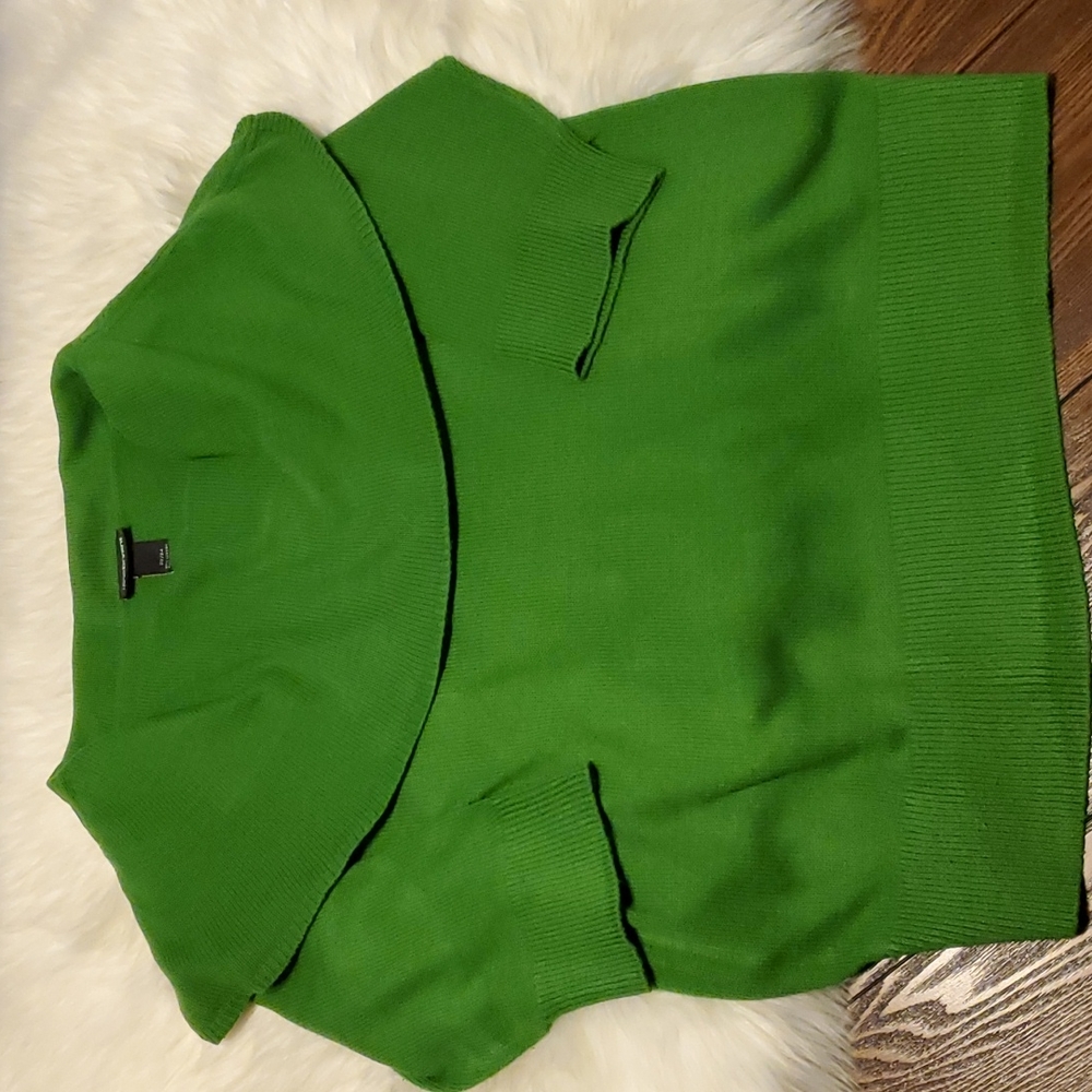 Lane Bryant Avocado 🥑 sweater.